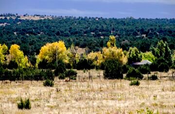 Fall Colors.jpg